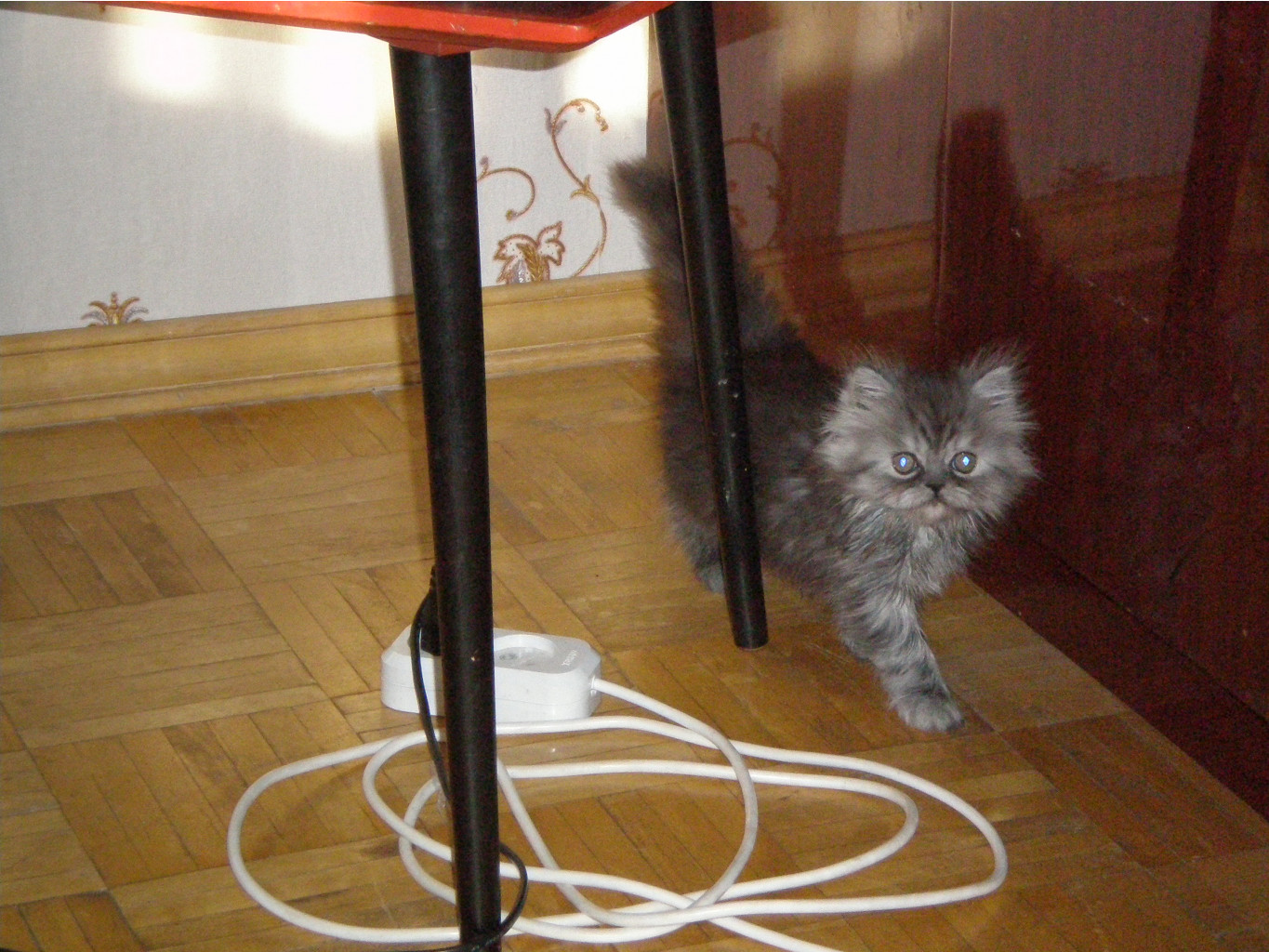 09.07.2008 10:38:58
