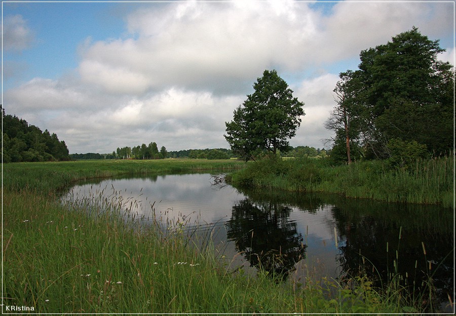 14.07.2008 12:31:27