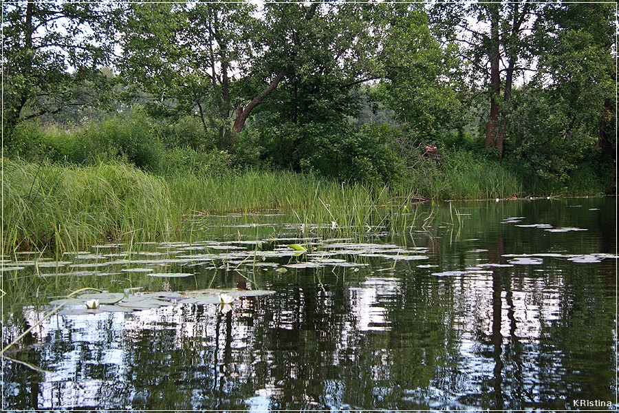 14.07.2008 12:42:15