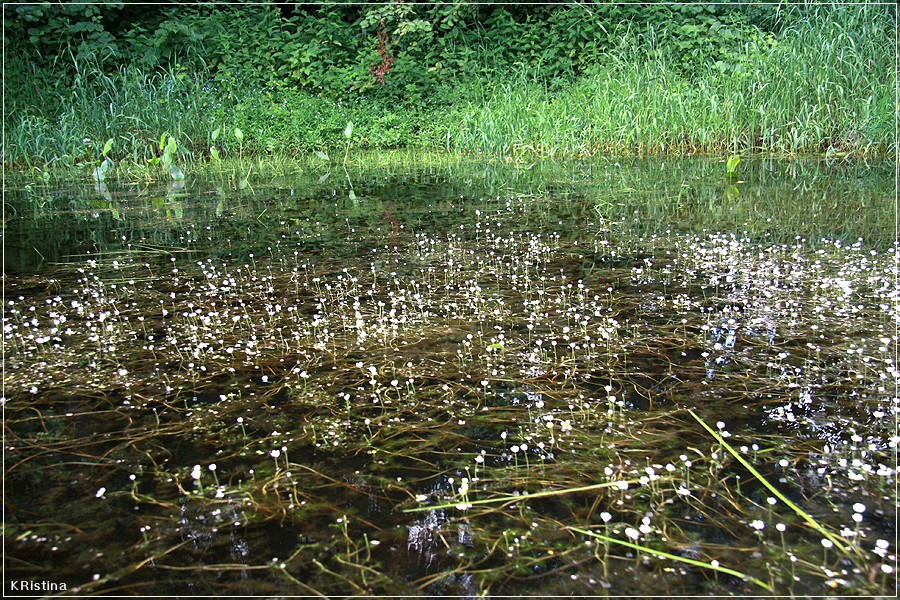 14.07.2008 12:47:05