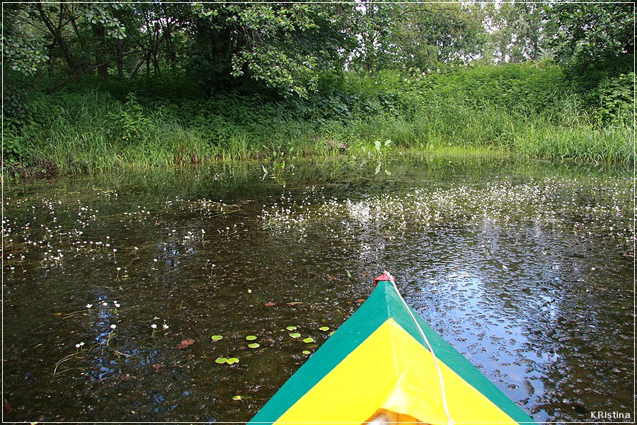 14.07.2008 12:48:25