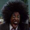 331544245.gif
