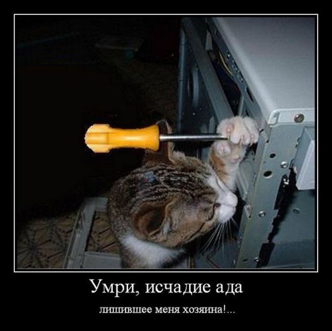 001[1].jpg