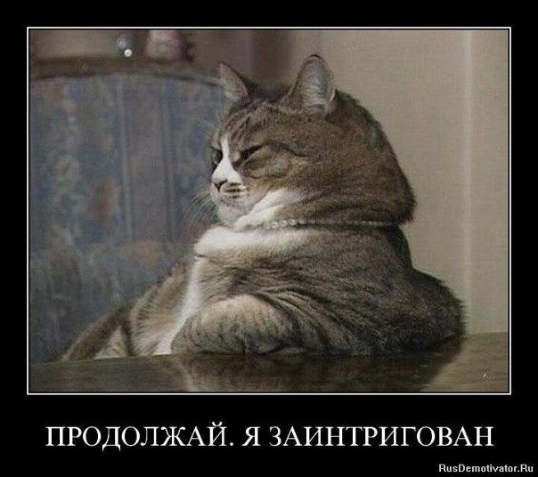 x_e8dc53a9.jpg