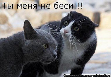 x_fa56d061.jpg