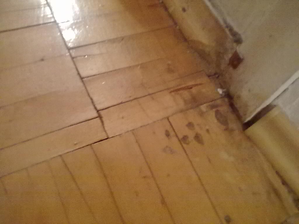 25102011108.jpg