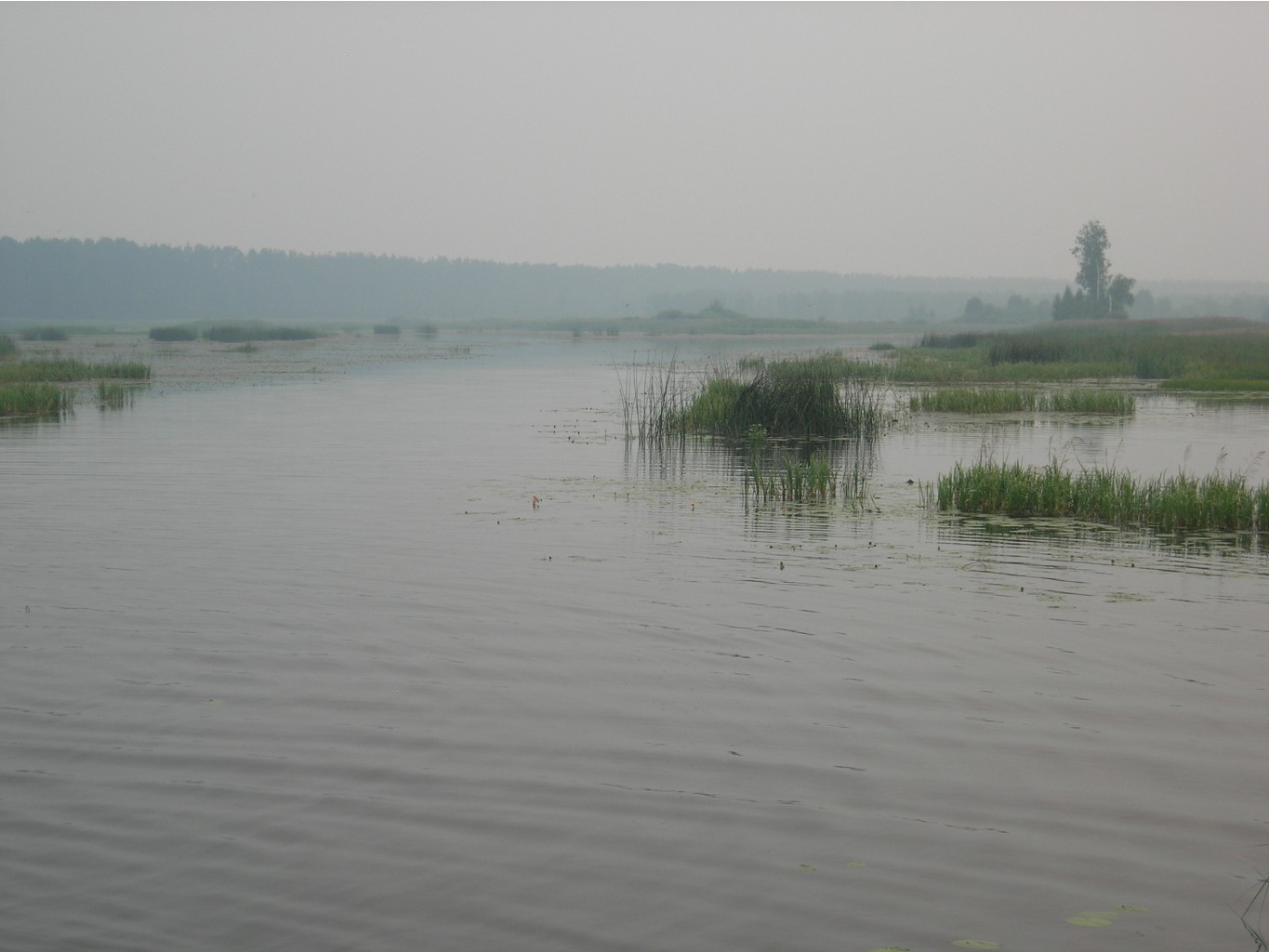 07.07.2010 7:56:39