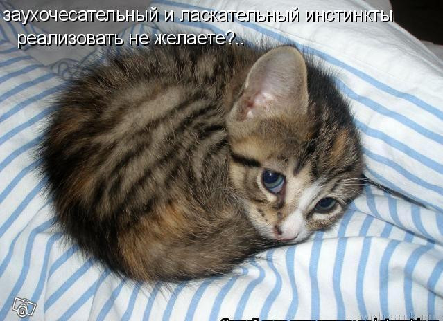 07.07.2010 14:42:06
