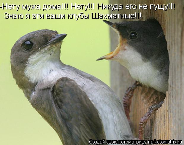 07.07.2010 14:42:06
