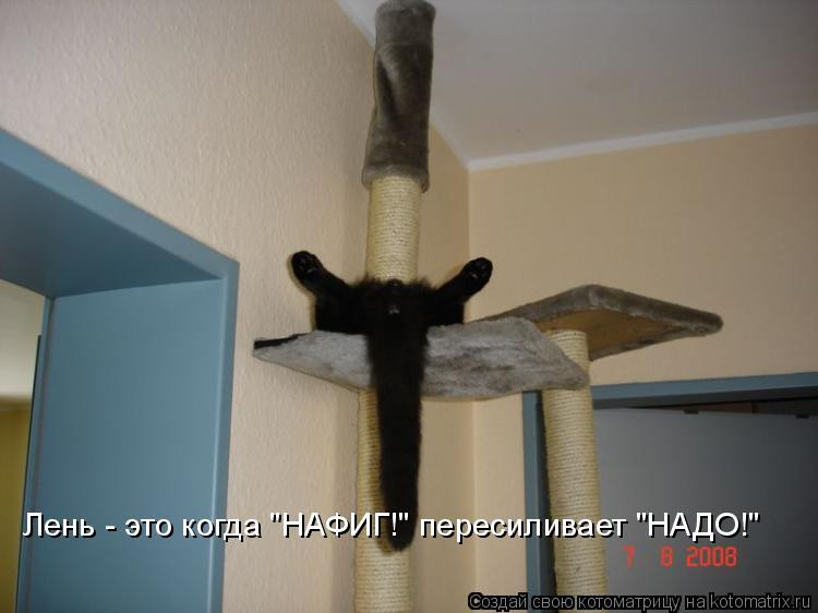 07.07.2010 14:42:11