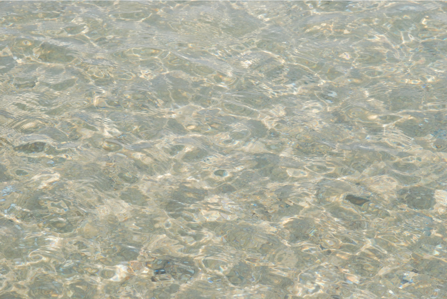 04.08.2008 18:42:31