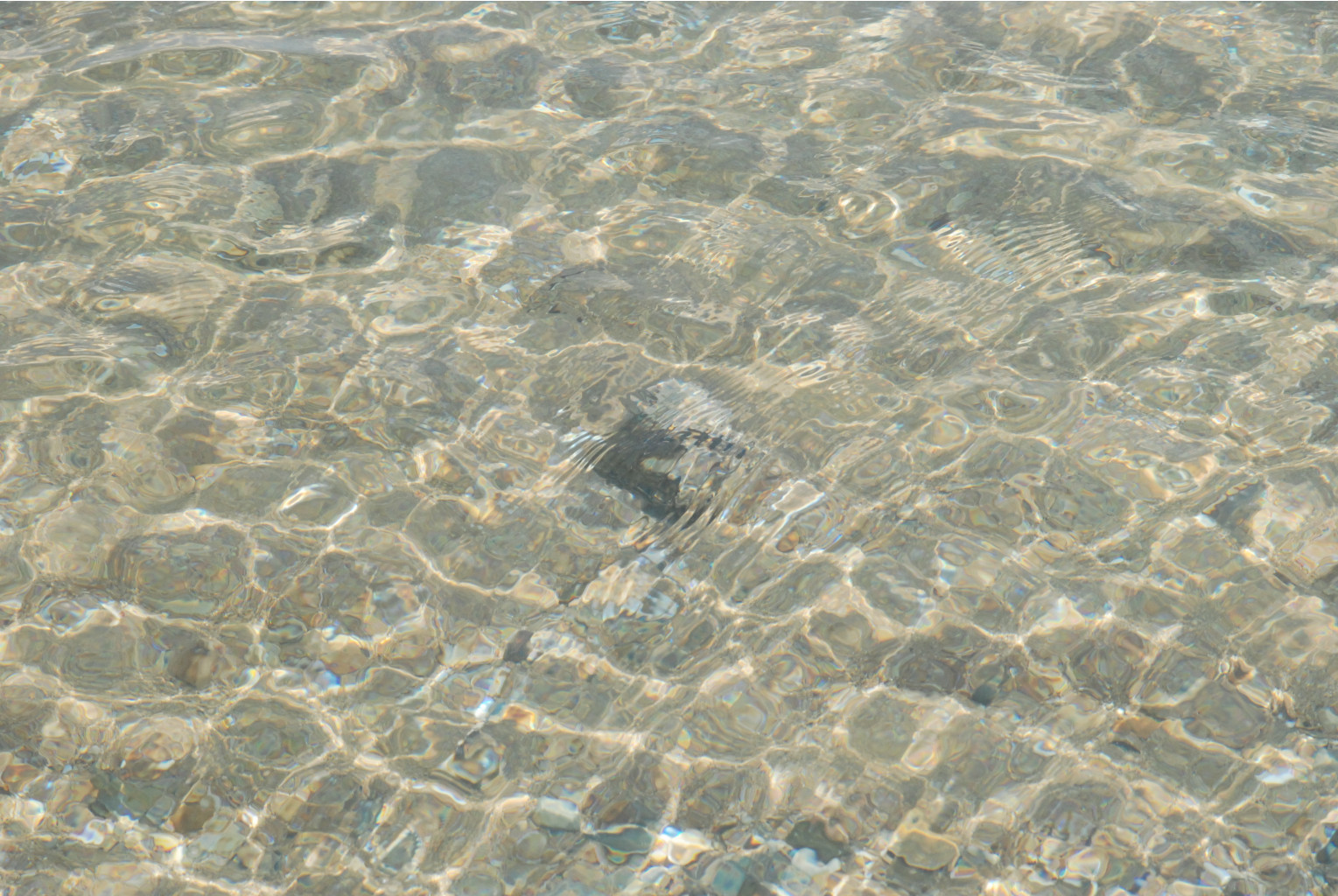 04.08.2008 18:42:57