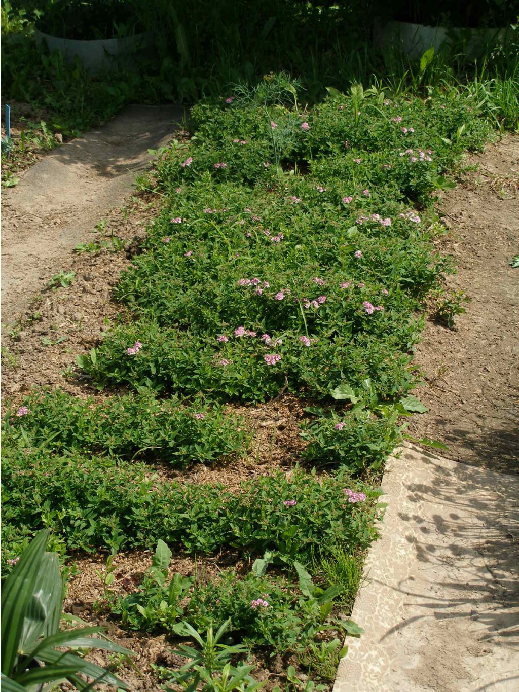 12.07.2010 12:45:58