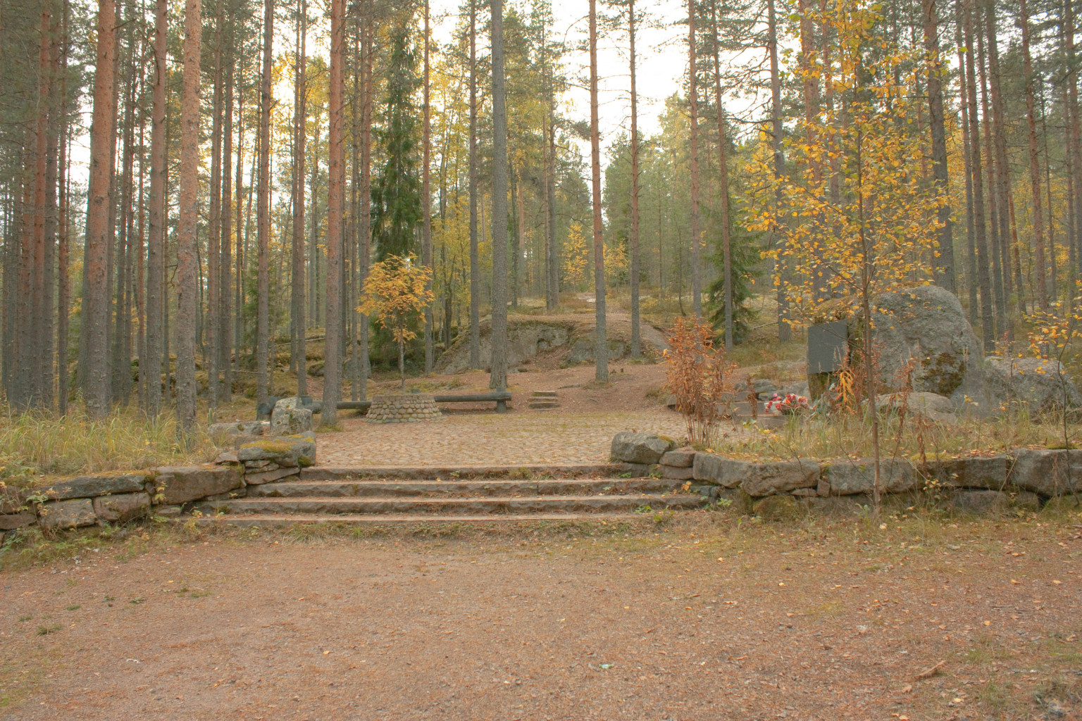 IMG_3765.jpg