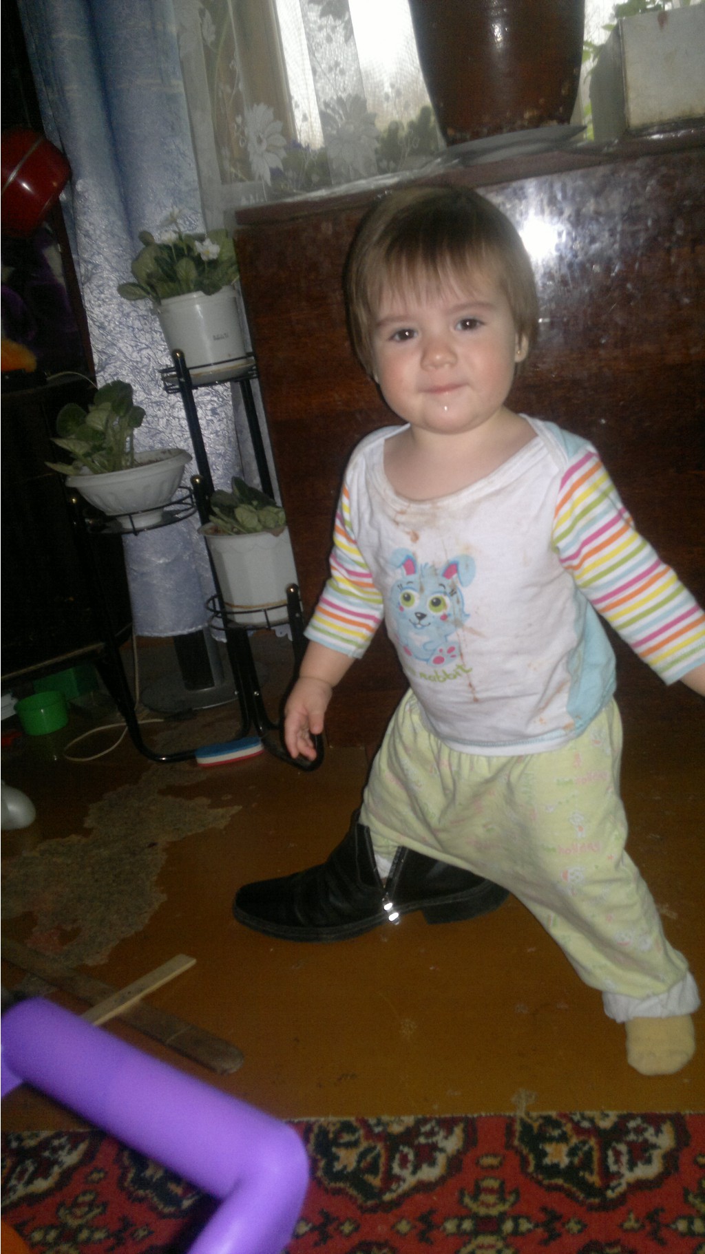 31032012458.jpg