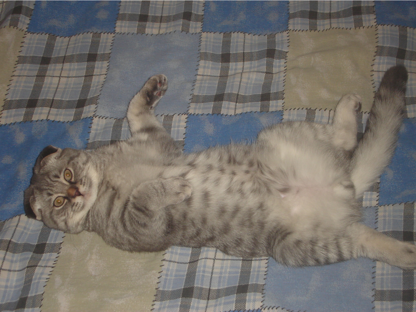 DSC00002.JPG