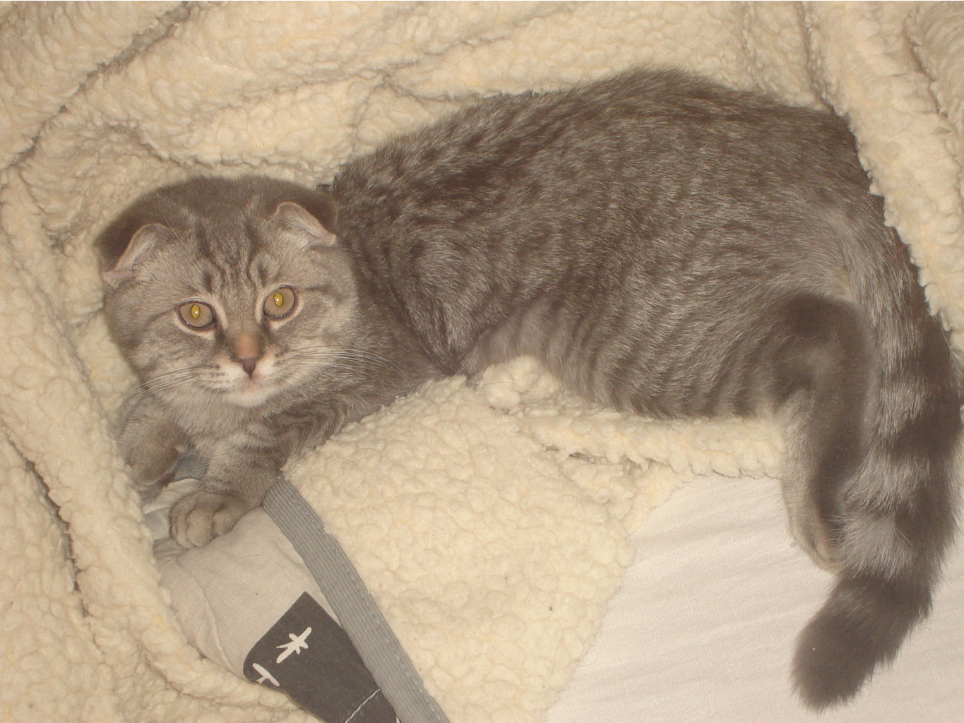DSC04641.JPG