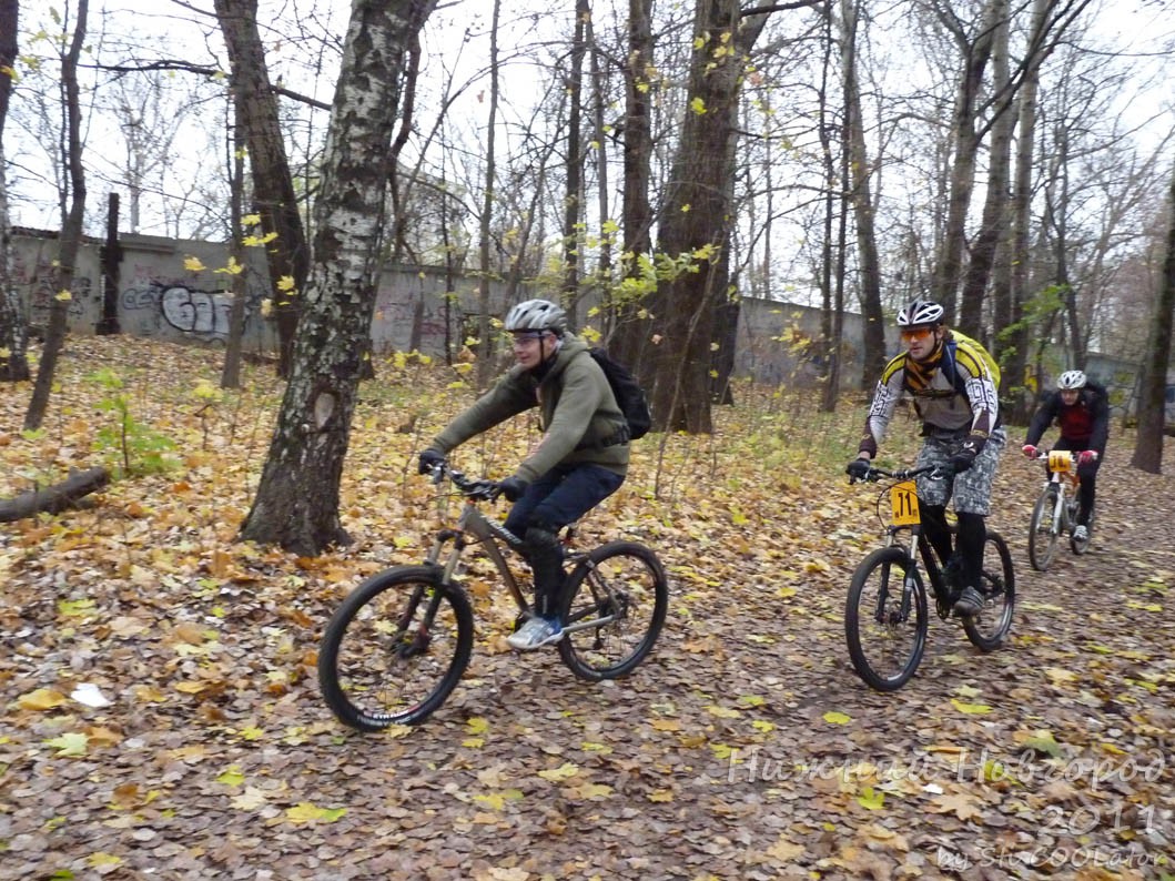 P1040363.JPG