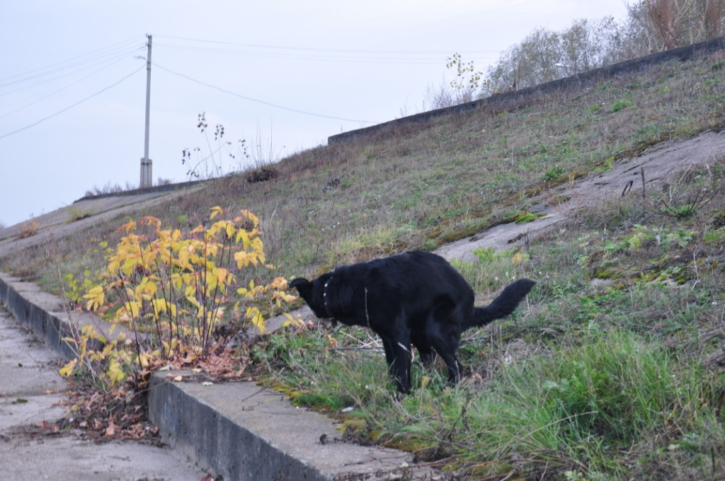 DSC_2503.JPG