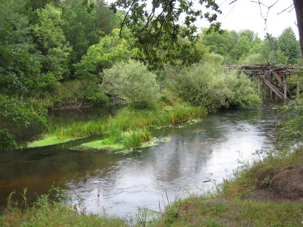 01.09.2008 18:18:51
