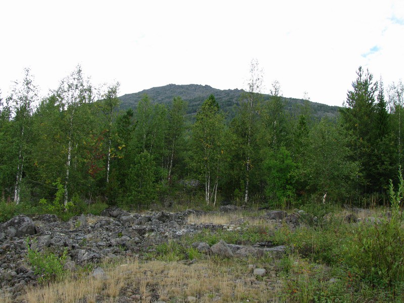 02.09.2008 19:05:31