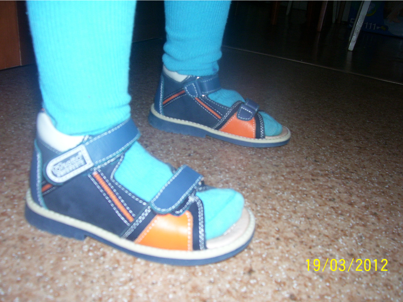 100_6156.jpg