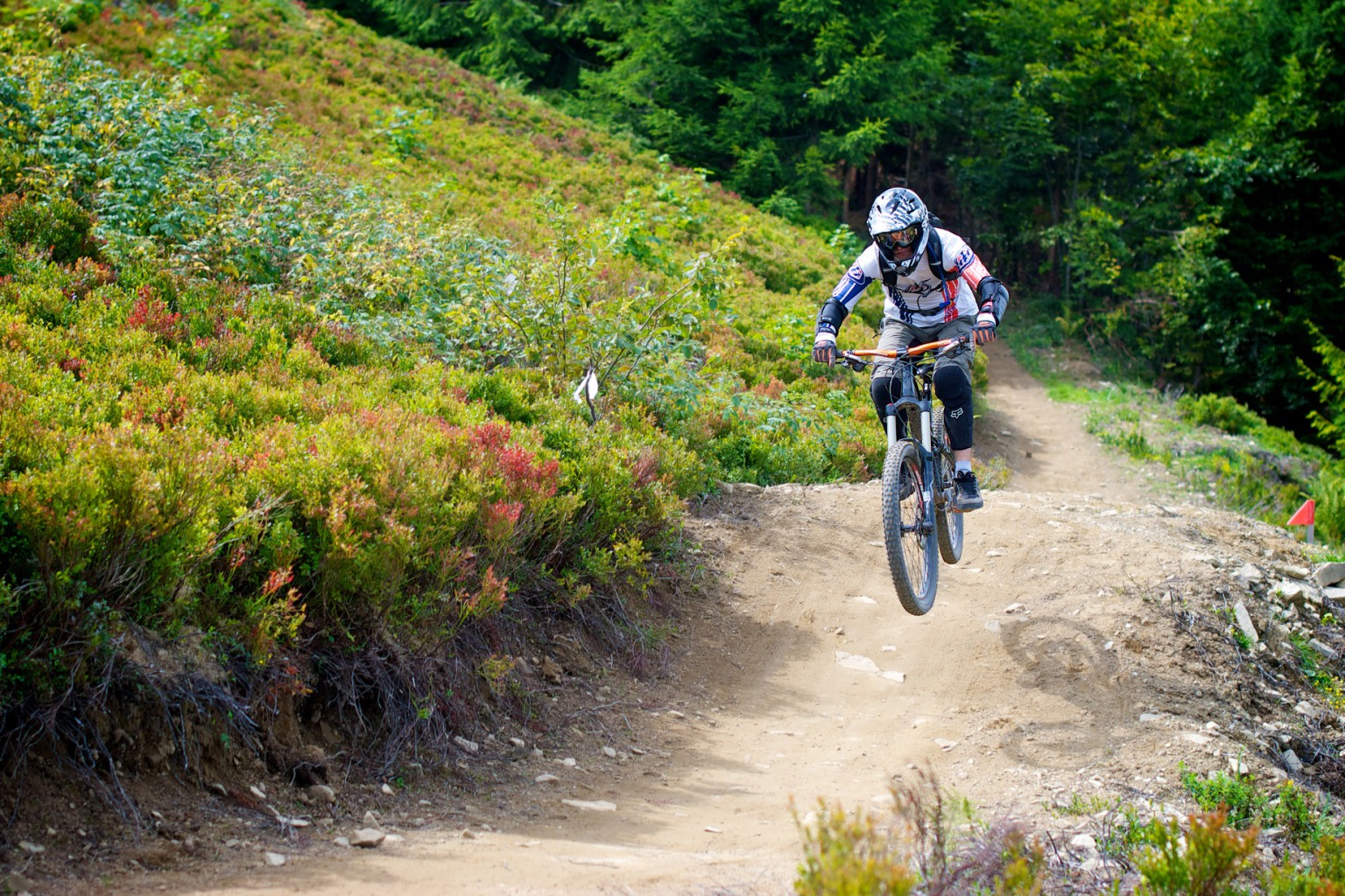 2012-08-21 at 13-08-48.jpg