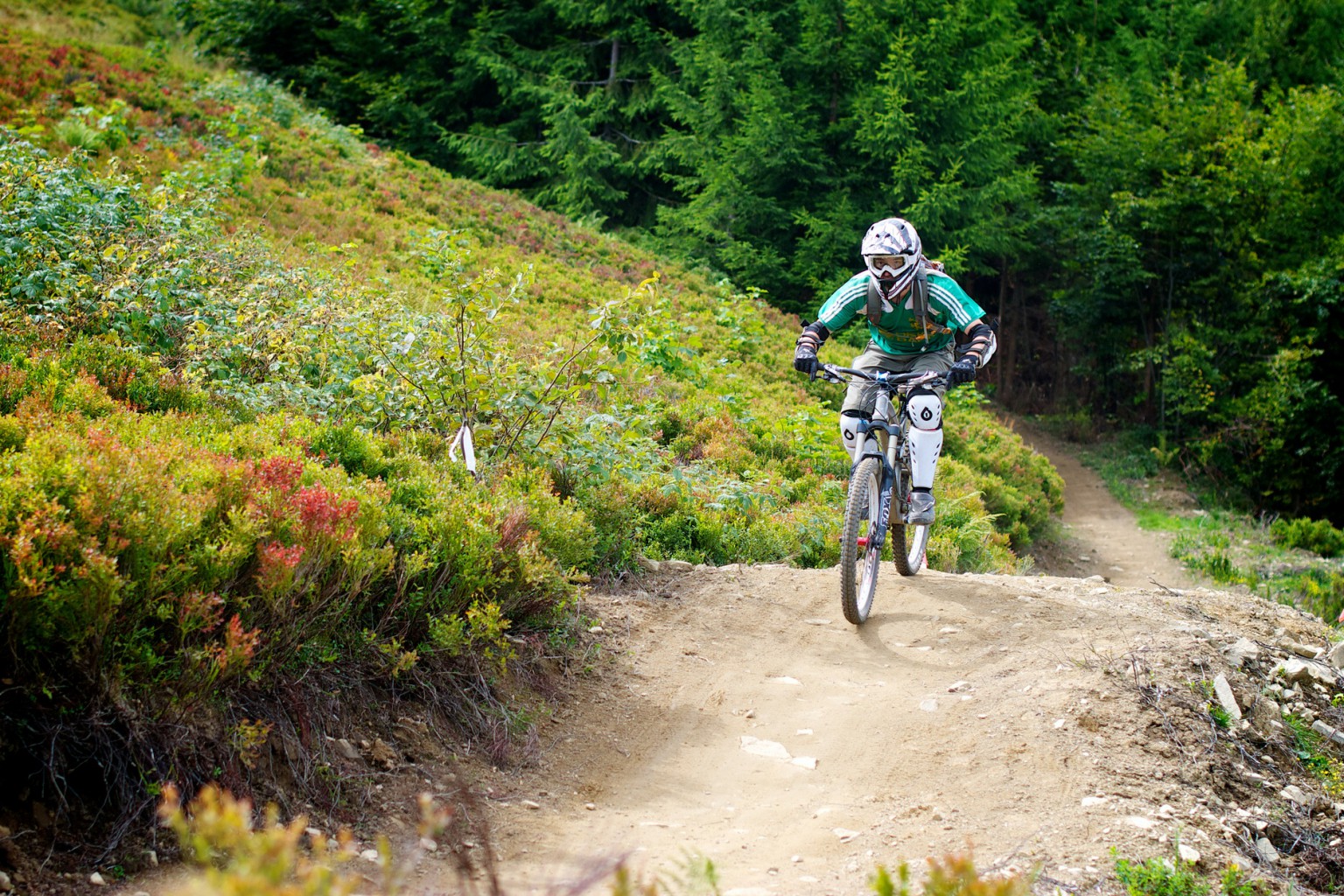 2012-08-21 at 13-10-43.jpg