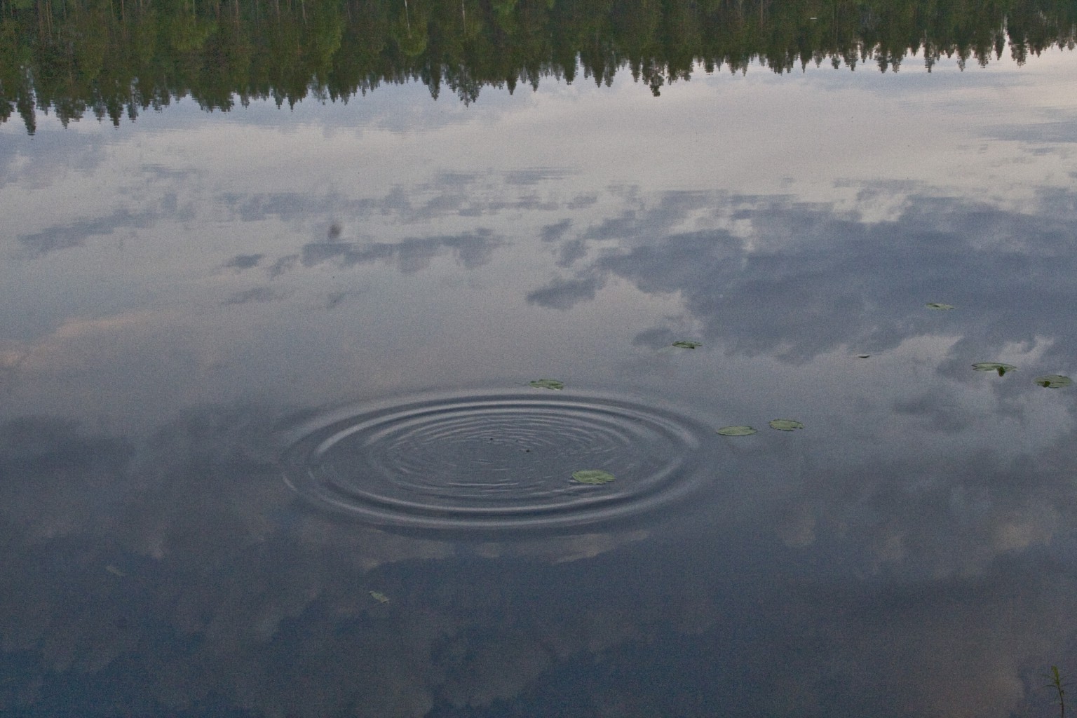 19.07.2010 19:12:54