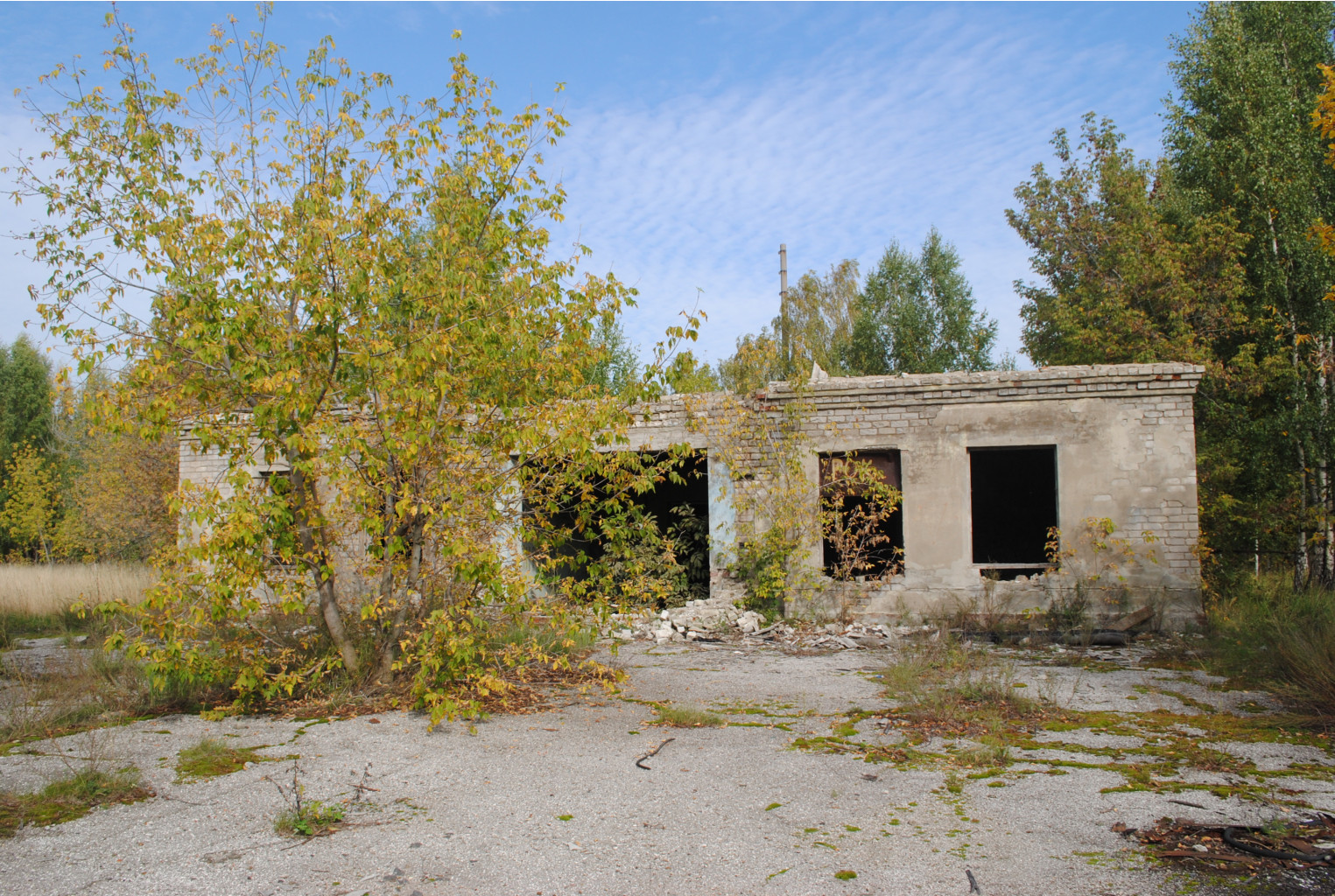DSC_0068.jpg