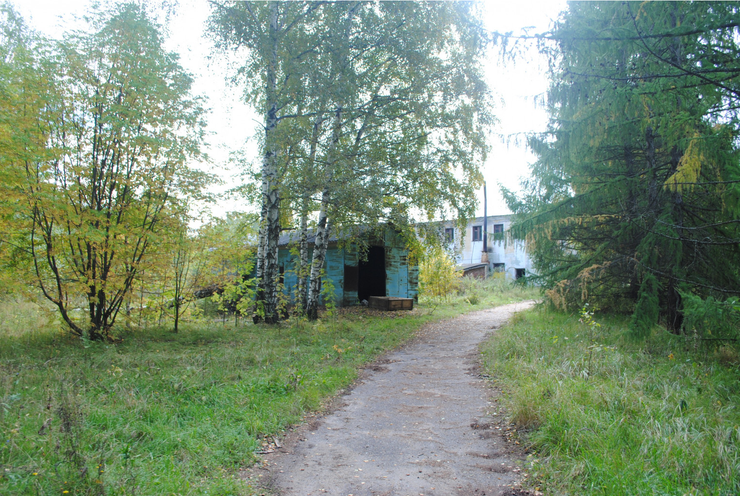DSC_0102.jpg