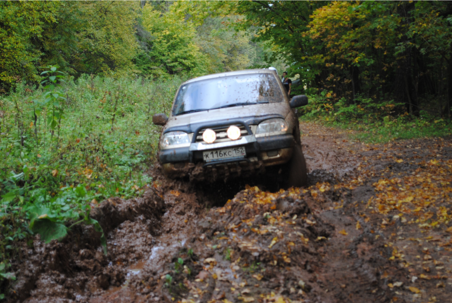 DSC_0148.jpg