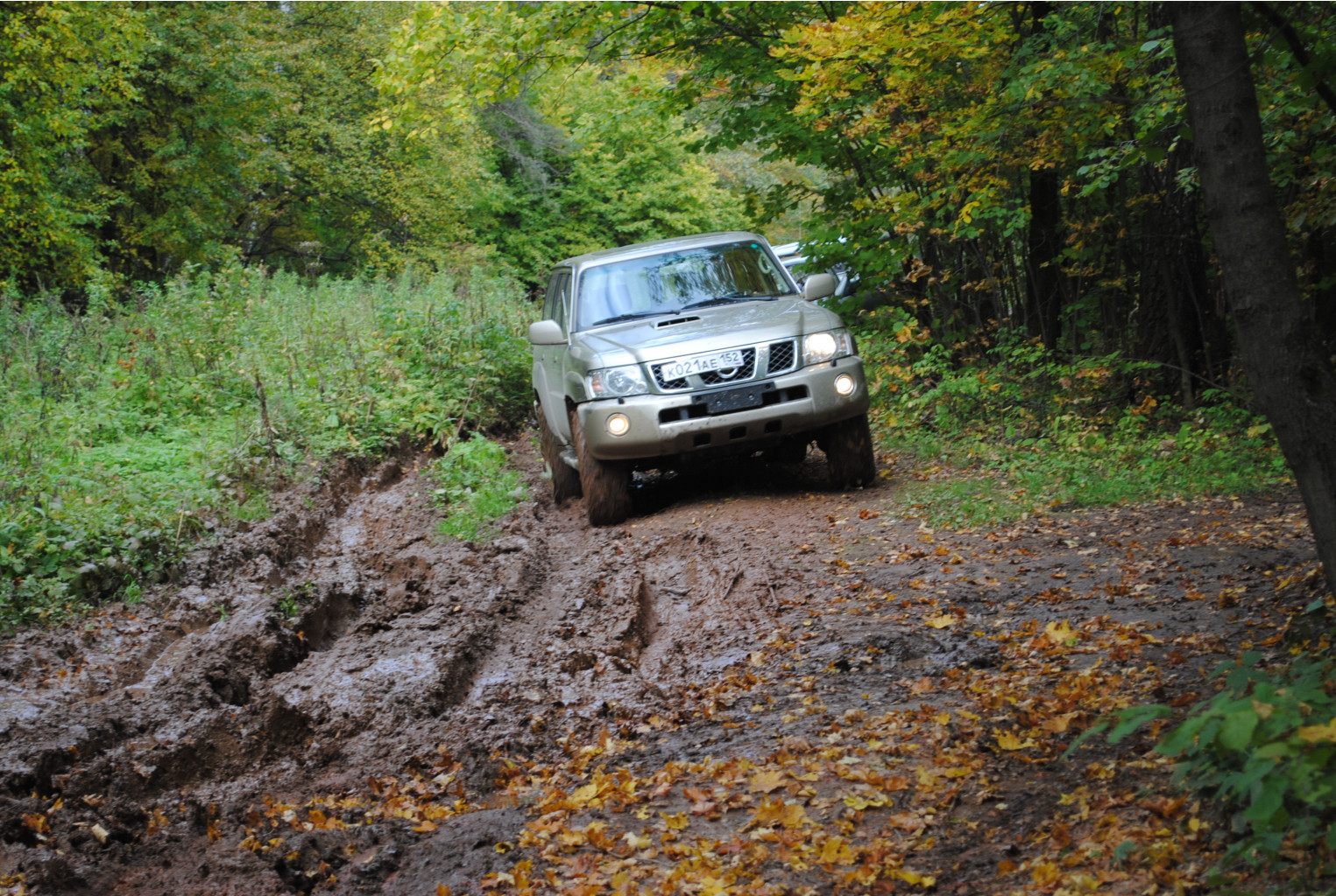 DSC_0151.jpg