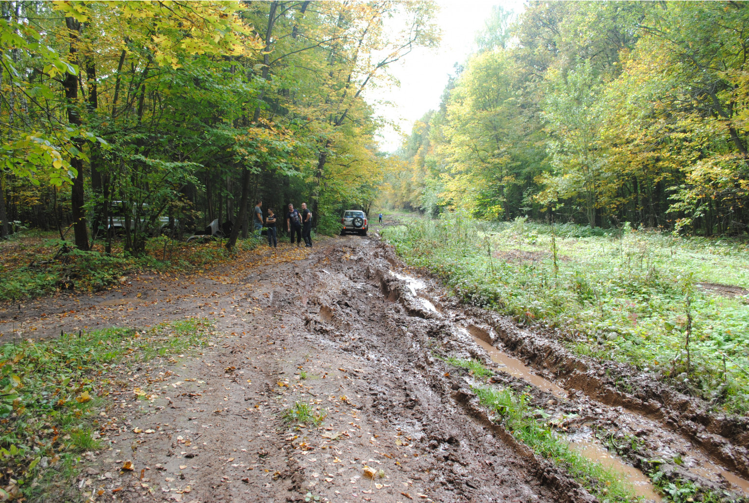 DSC_0161.jpg
