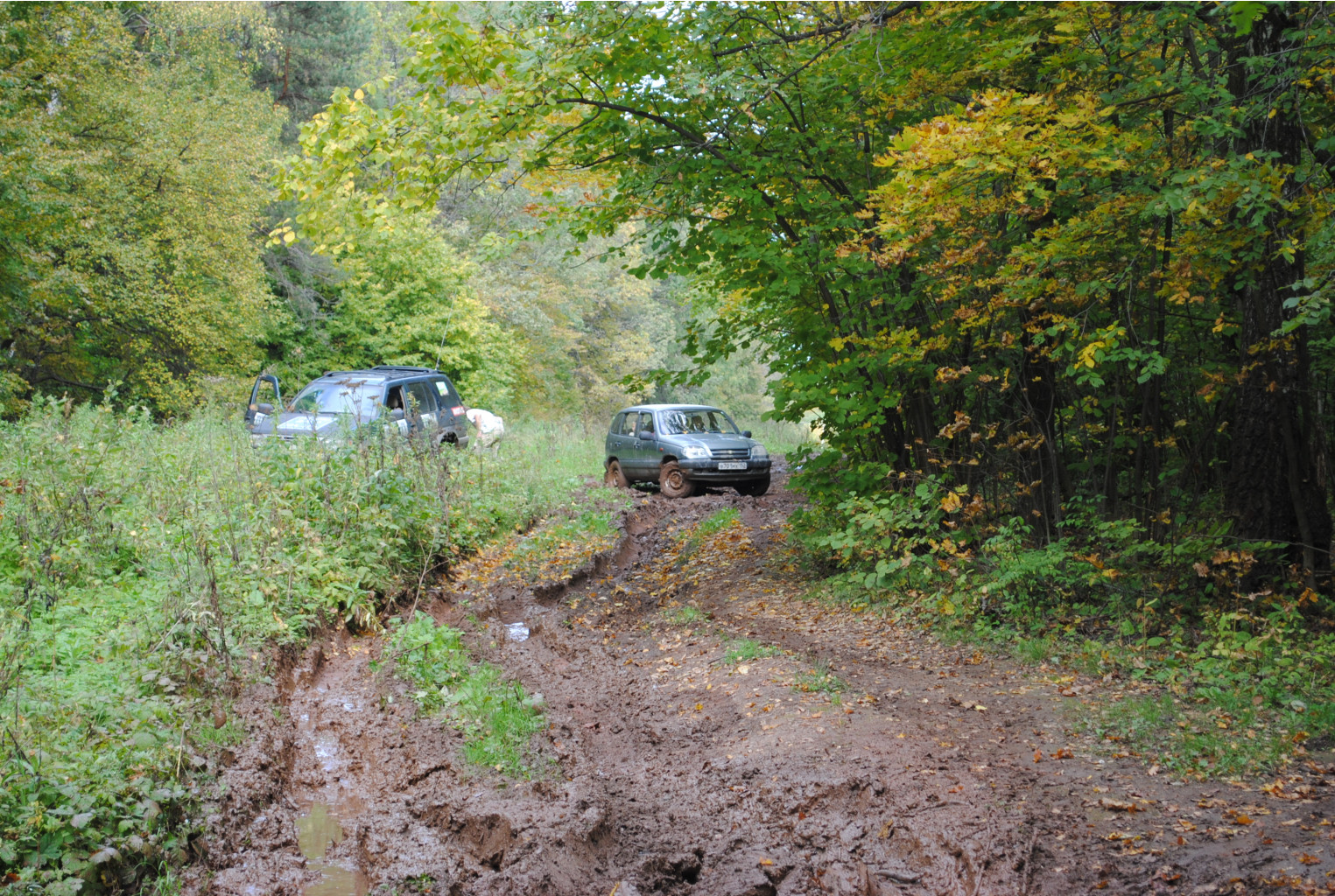 DSC_0162.jpg
