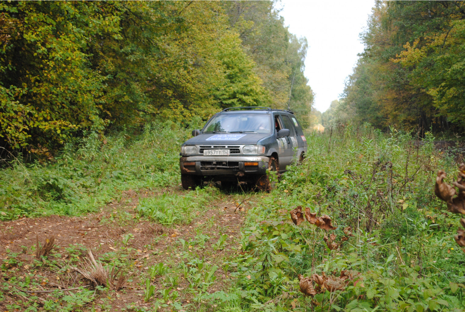 DSC_0165.jpg