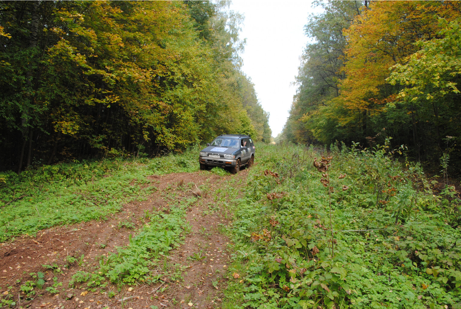 DSC_0166.jpg