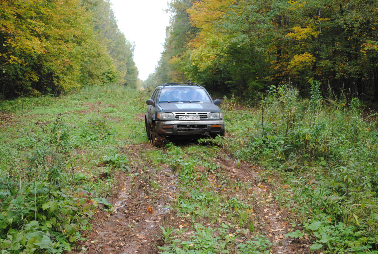 DSC_0167.jpg