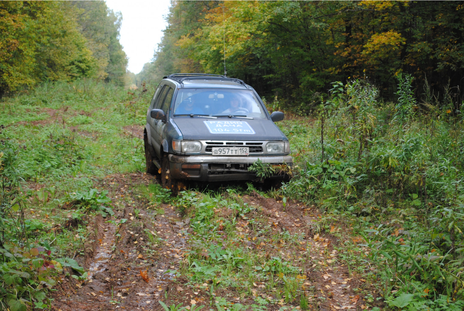DSC_0168.jpg