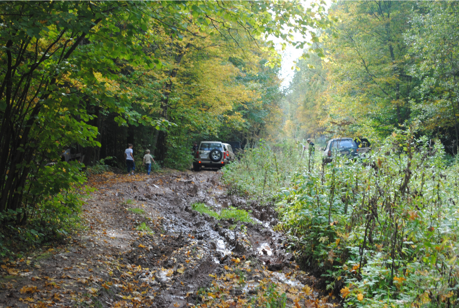 DSC_0172.jpg