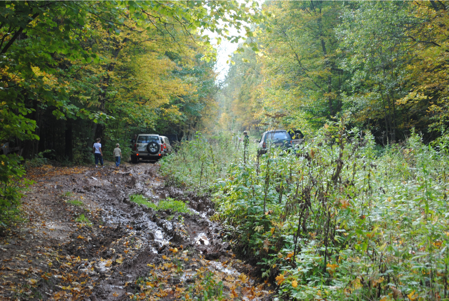 DSC_0173.jpg