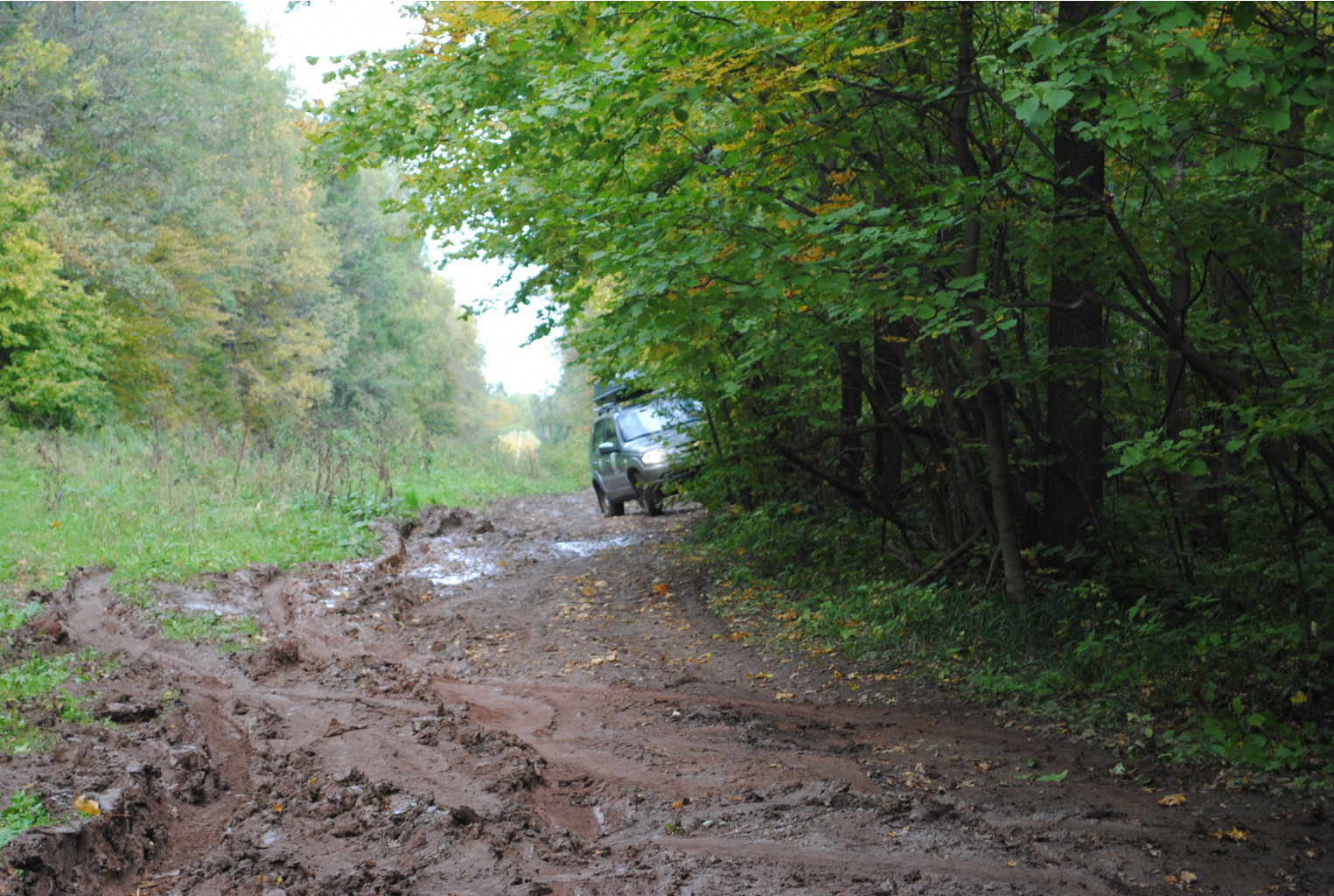 DSC_0176.jpg