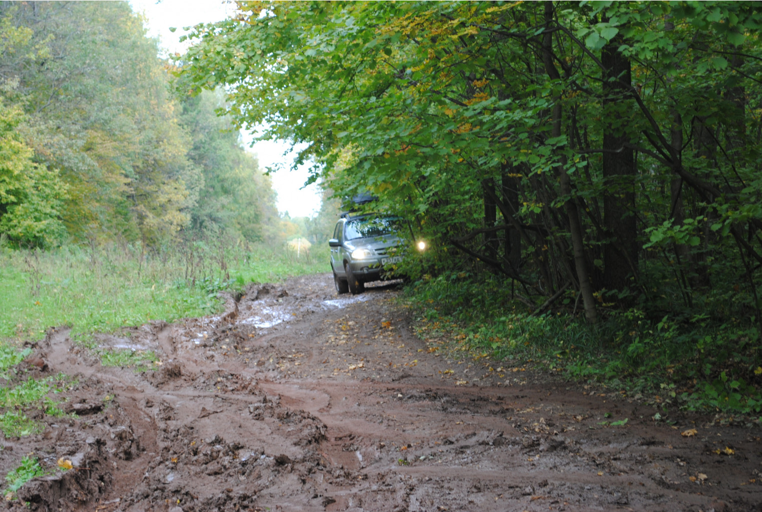 DSC_0177.jpg