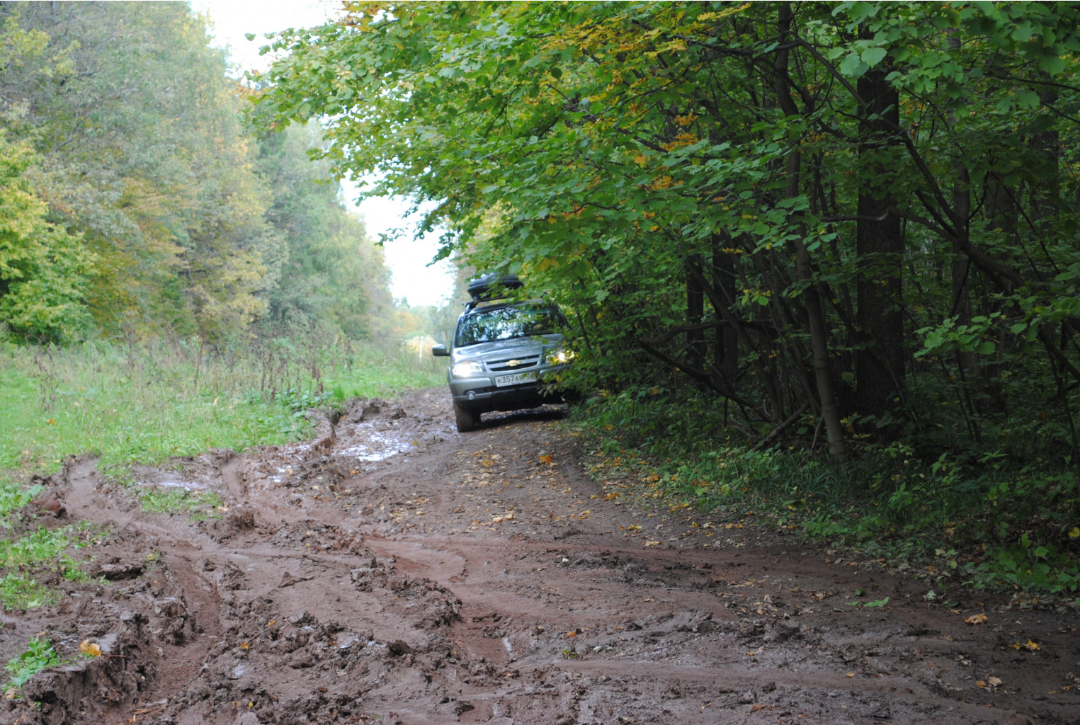 DSC_0178.jpg