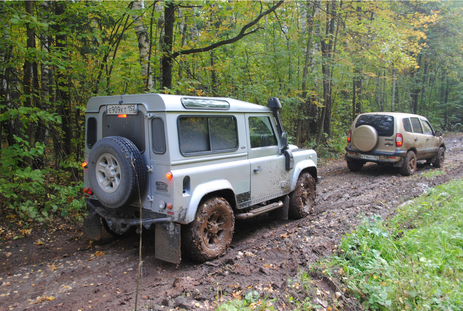 DSC_0184.jpg