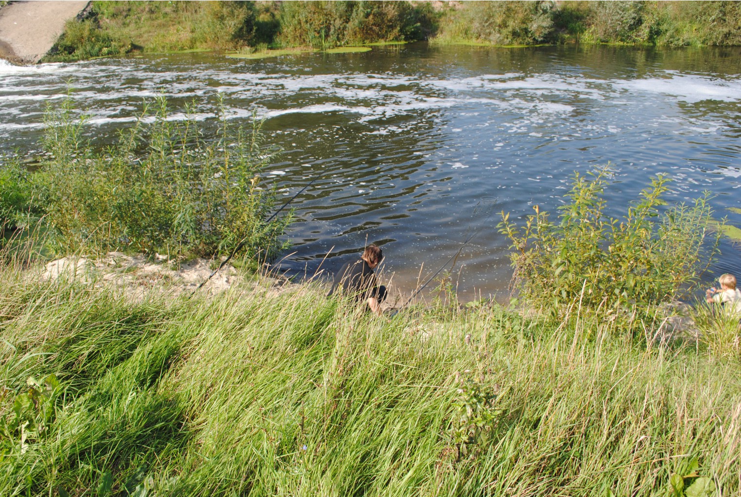DSC_0208.jpg
