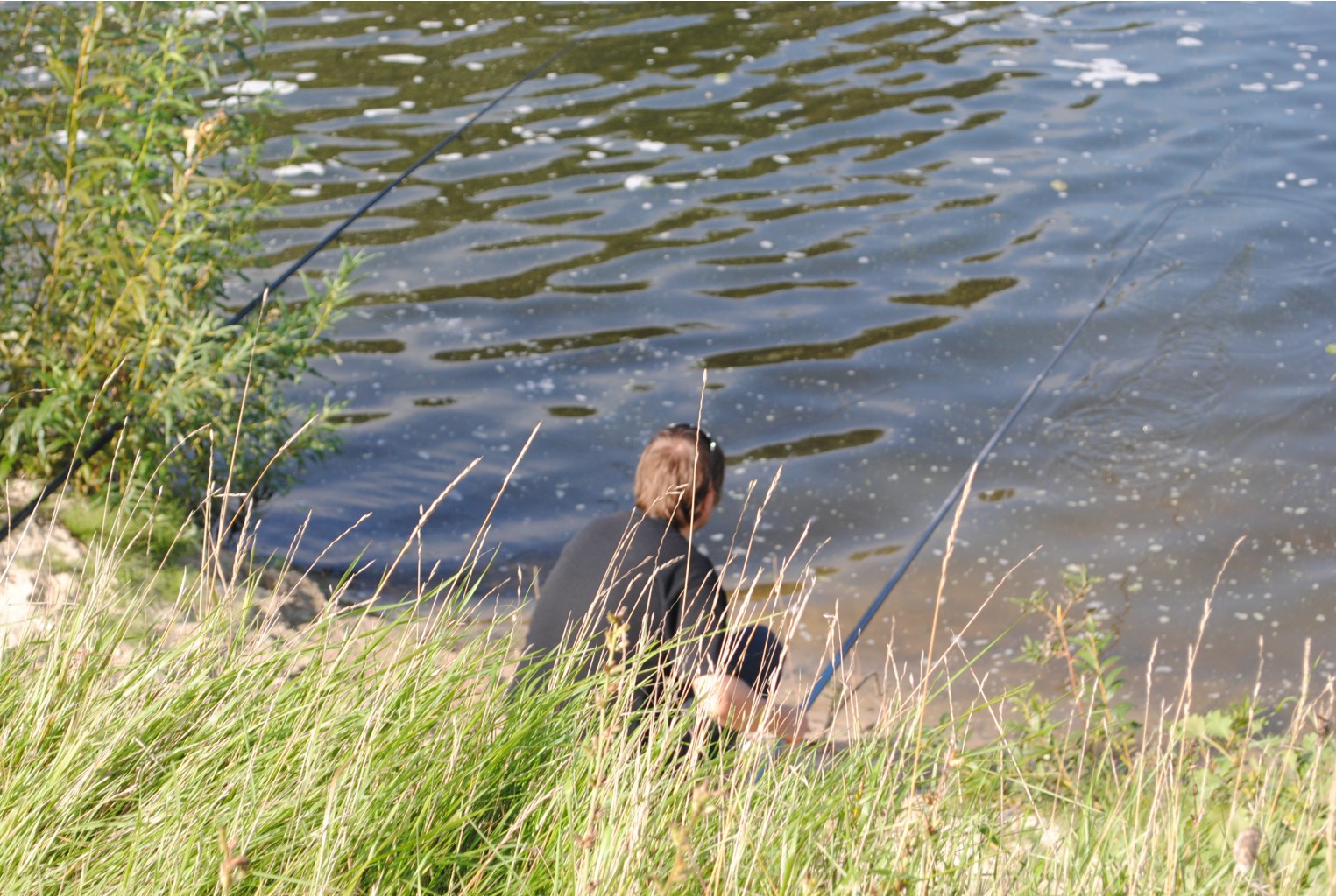 DSC_0209.jpg