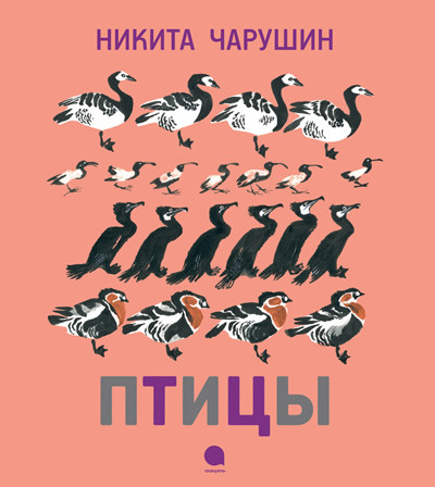 Птицы