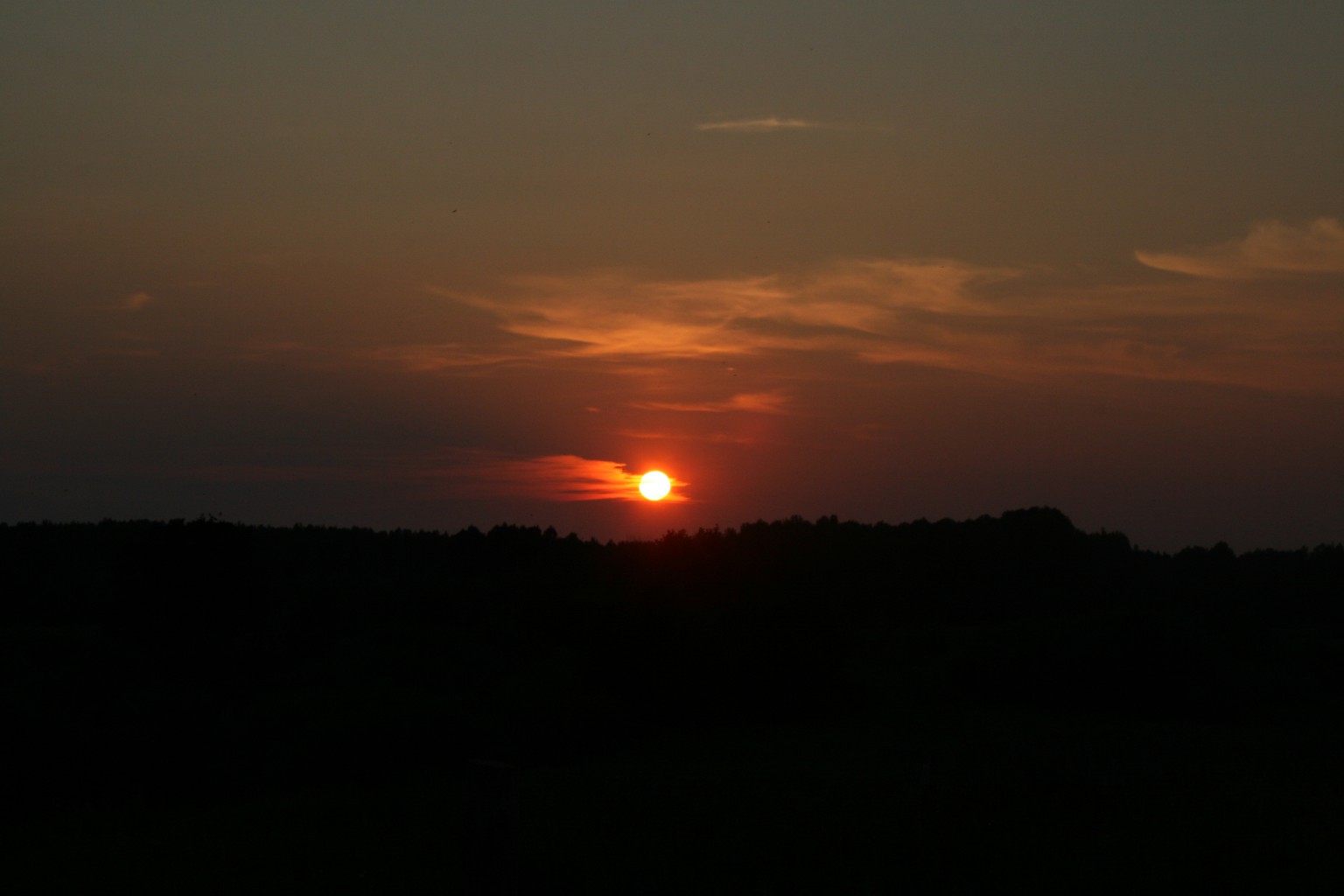 IMG_9172.JPG
