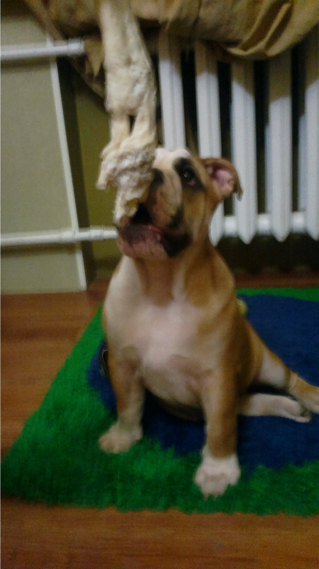 2012-07-19-031.jpg